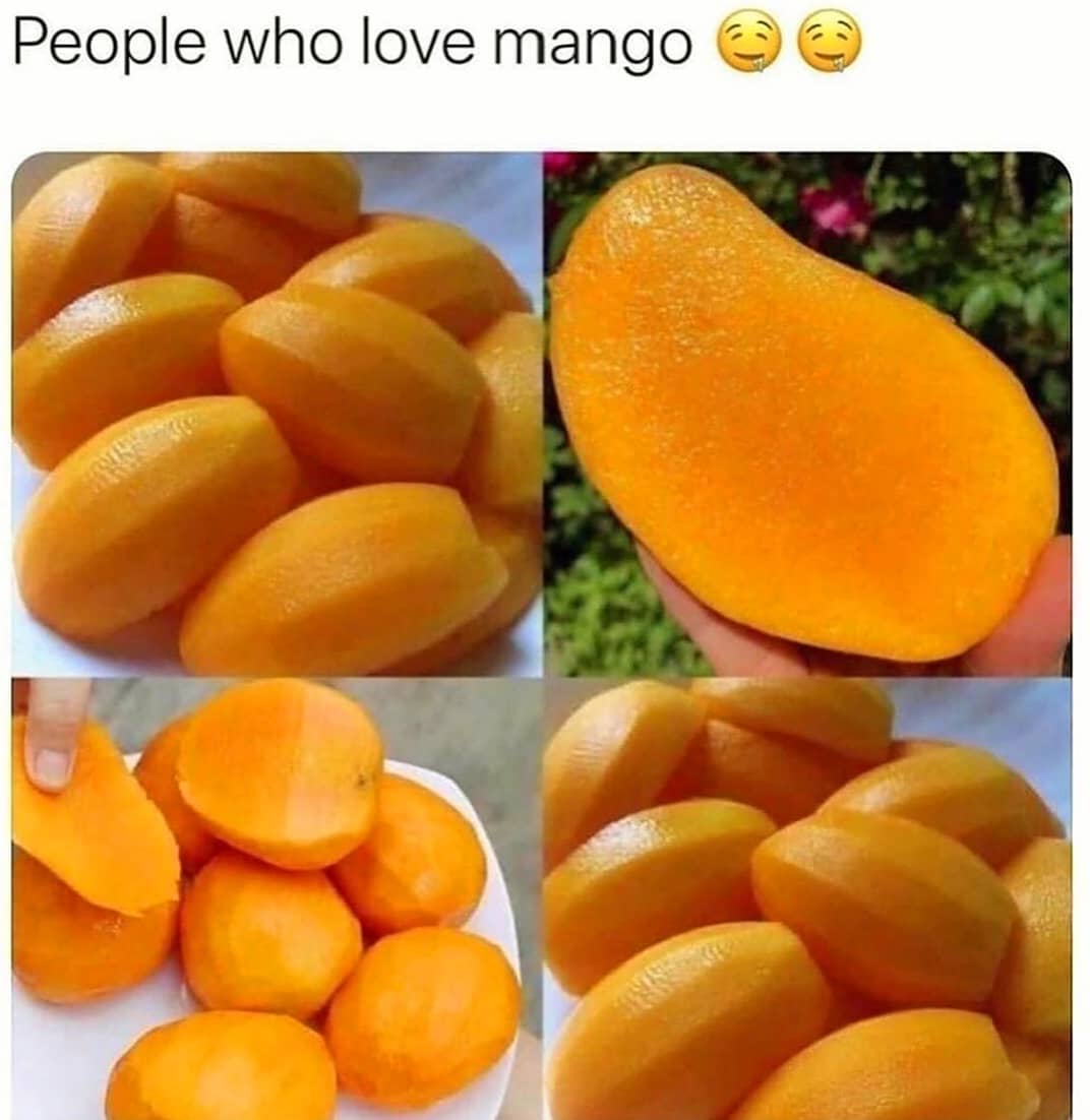 I love my mangos.
.
.
.
.
.
.
.
.
.
.
.
.
.
.
.
.
.
.
.
.
.
.
.
.
.
.
.
.
.
.
.
…