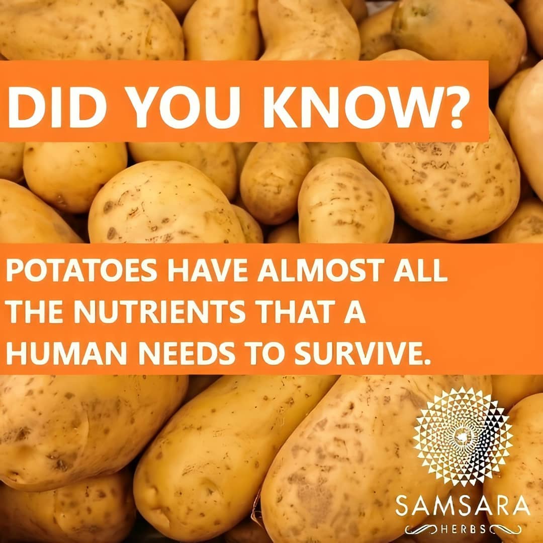 Although many people think potatoes are nothing more than starch carbs, they are…