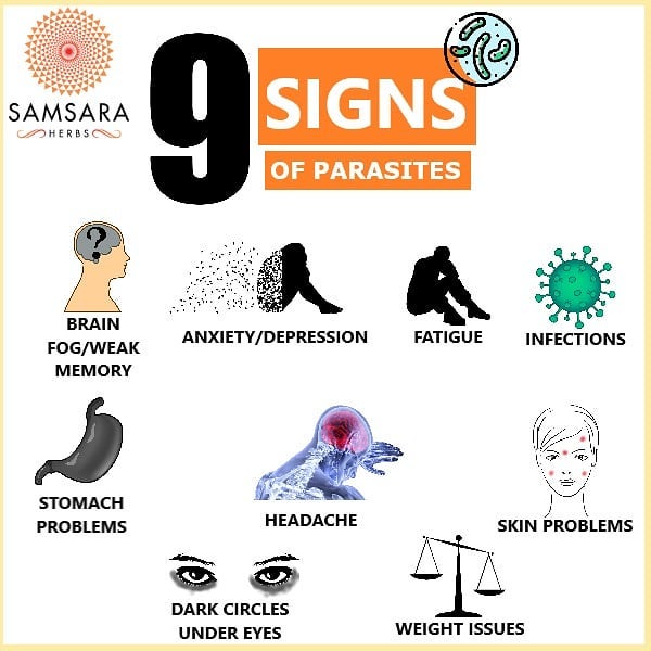 A parasite is an organism that lives on or in a host organism and gets its food …