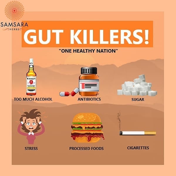 A healthy gut is vital for a healthy life. These are 6 gut killers you should av…