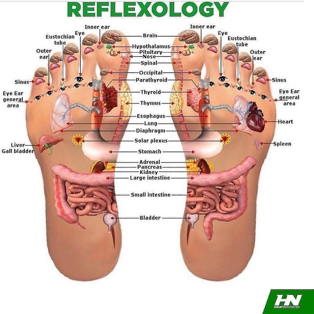 Reflexology & Its Benefits

_
Follow  for MOREEEE
_
Post by: 
_
While most peopl…