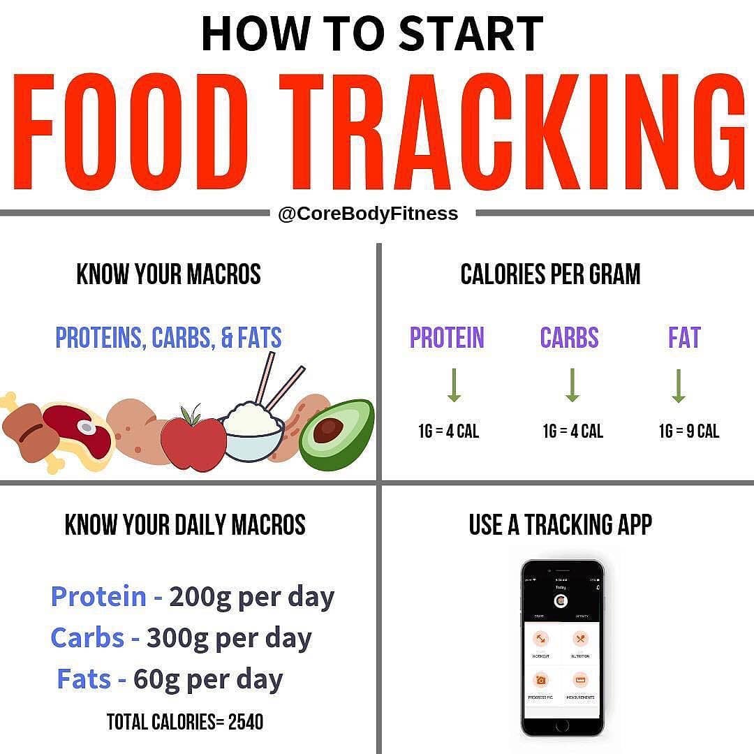 How to Start Food Tracking

Please follow  for more great content!!
.
So you’ve…