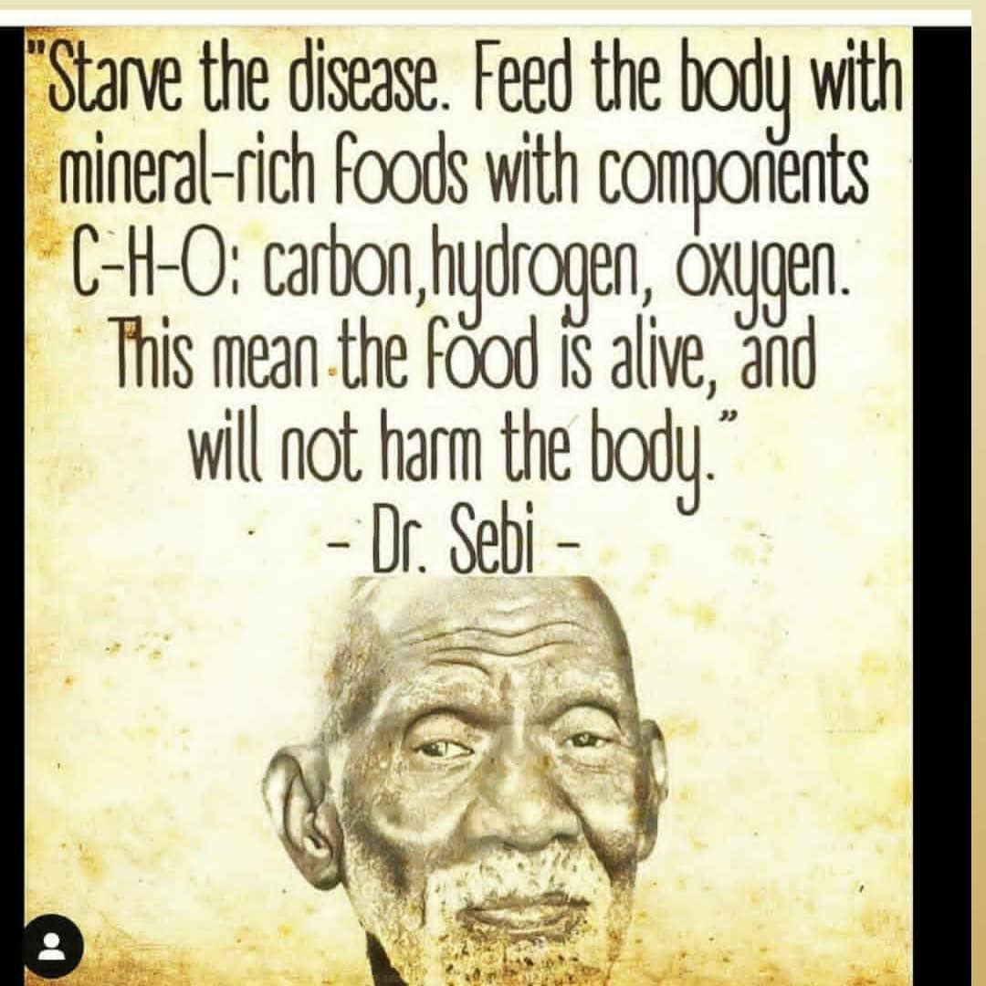 Dr. Sebi Alkaline Vegan Nutritional Guide, Real food, Natural Holistic Healing 
…