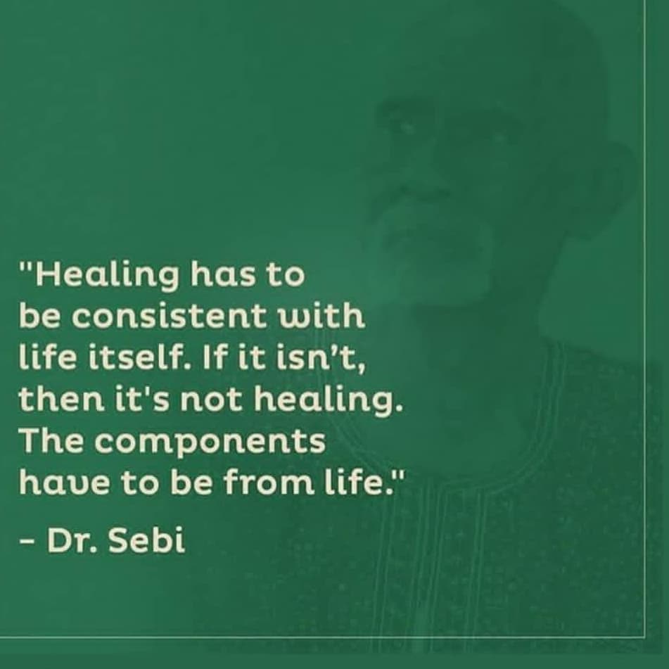 Dr. Sebi Alkaline Vegan Nutritional Guide, Real food, Natural Holistic Healing 
…