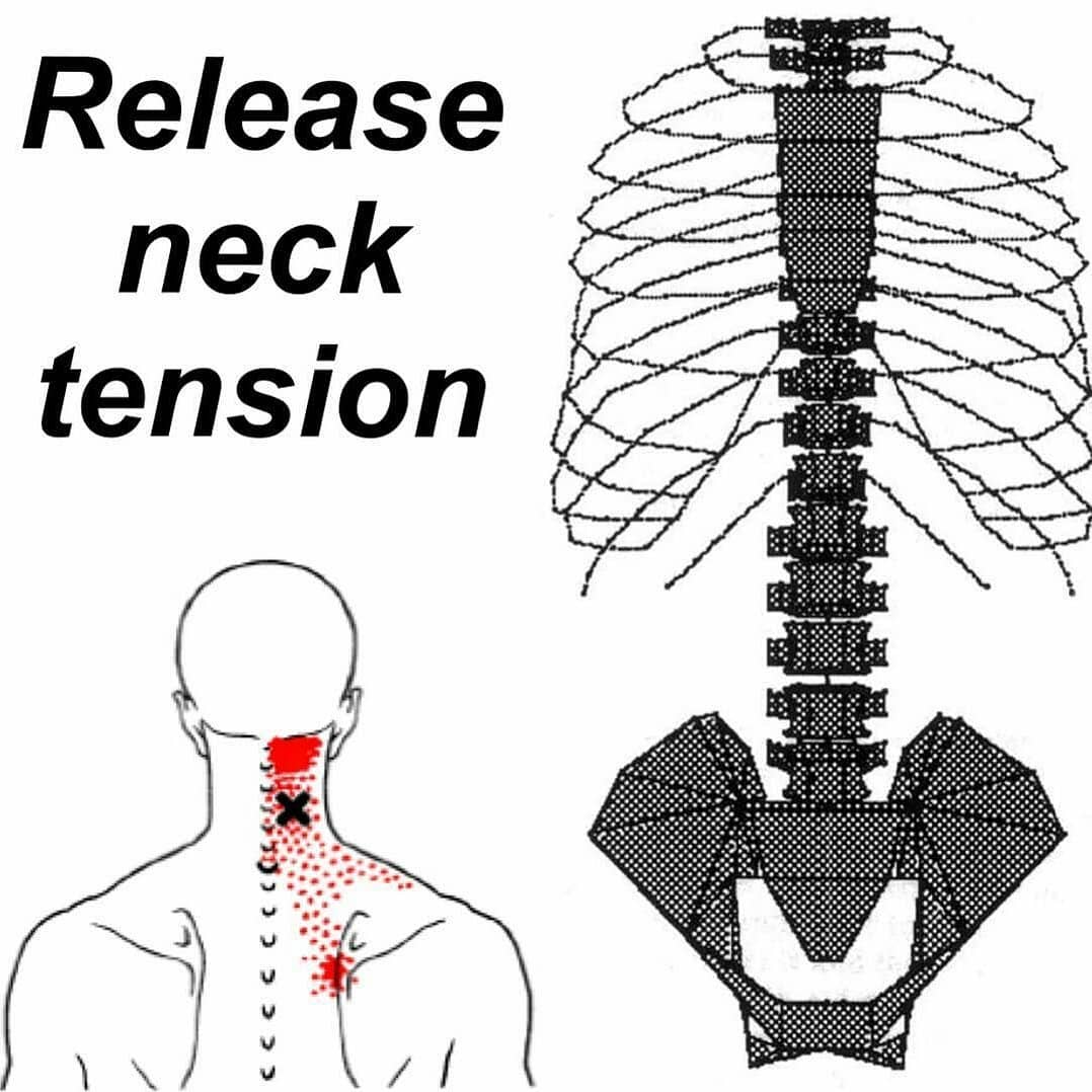 NECK TENSION?  TRY THIS!
[Side-lying spine rotation]
.
Follow  for MOREEEE
.
Ama…