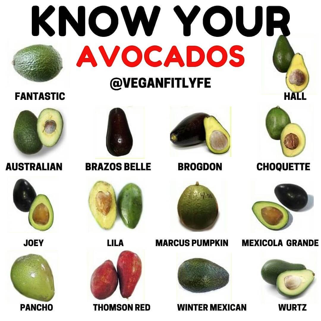 Know Your Avocados Please follow  for more great content!!. Tag someone who need…