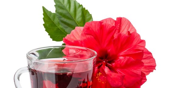 High blood pressure: 7 ways that Hibiscus tea cuts risk of hypertension; who cannot have it? – Times Now