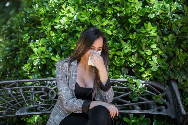 The problem with pollen in The Woodlands – Woodlands Online