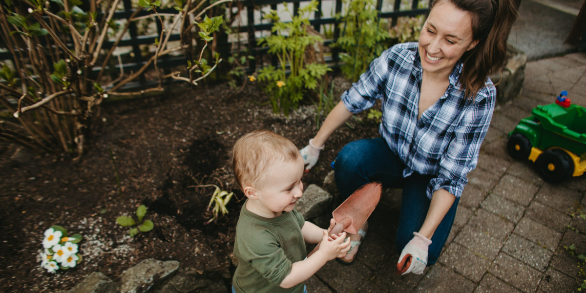 Don’t Let the (Raised) Bed Bugs Bite: Garden Pest Remedies – Sunset Magazine