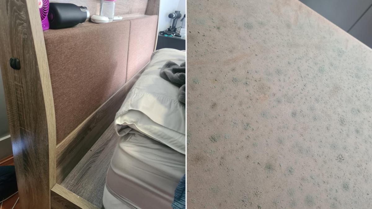 Aussie home owner's urgent warning over the secret mould hiding in your bed – Verve Times