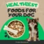 Healthiest Foods for Your Furry Friend