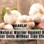 Garlic: The Natural Warrior Against Brain Cancer Cells Without Side Effects