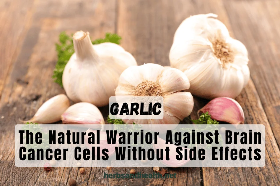 Garlic: The Natural Warrior Against Brain Cancer Cells Without Side Effects