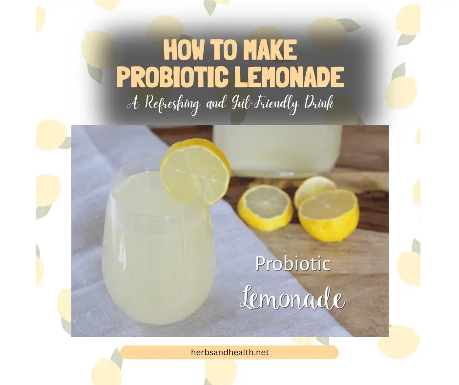 How to Make Probiotic Lemonade: A Refreshing and Gut-Friendly Drink