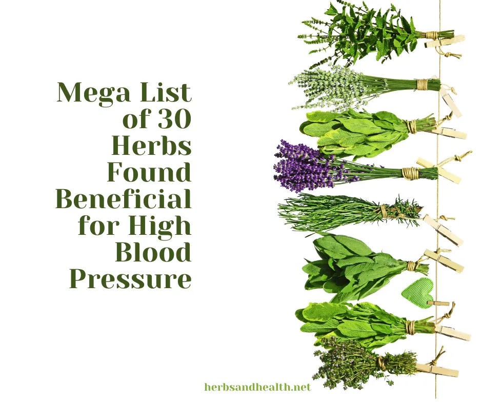 Mega List of 30 Herbs Found Beneficial for High Blood Pressure