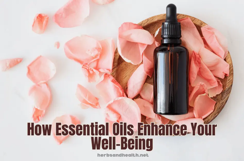How Essential Oils Enhance Your Well-Being | Herbs & Health