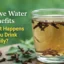 Clove Water Benefits: What Happens If You Drink It Daily?