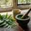 Neem Leaves (Azadirachta indica): Clinical Uses, Proven Benefits, and Vital Safety Warnings